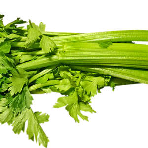 Celery PNG
