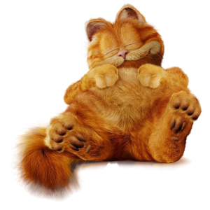 Garfield cat PNG