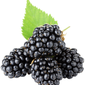 Blackberry PNG