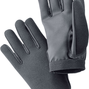 Winter gloves PNG image