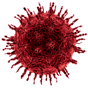 Coronavirus PNG