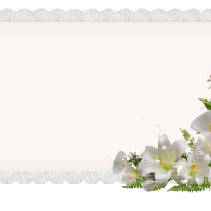 Postcard PNG
