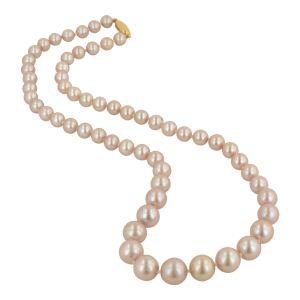 Pearl string PNG