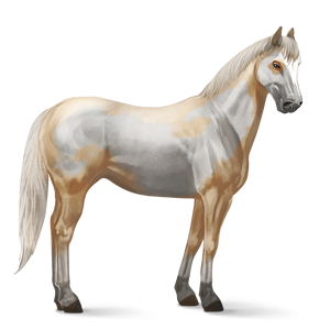 horse png image, free download picture, transparent background