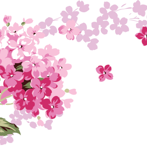 Lilac PNG