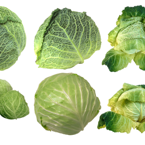 Cabbage PNG
