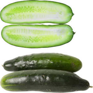 Sliced salted cucumber PNG