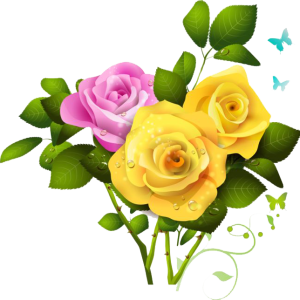 Bouquet flowers PNG