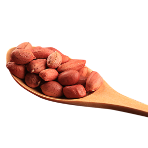 Peanut PNG