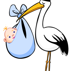 stork baby PNG