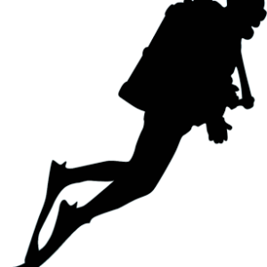 Diver PNG