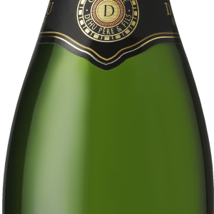 Champagne bottle PNG