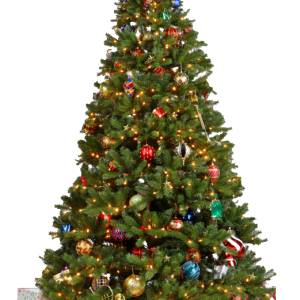 Christmas tree PNG