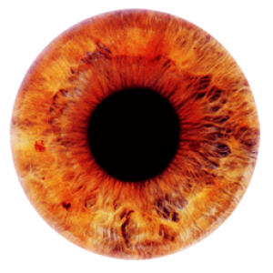 Eye PNG
