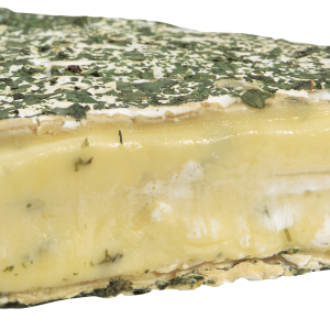 Cheese PNG image