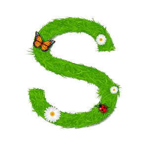 Letter S PNG