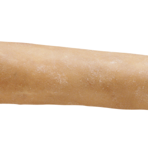 Bone PNG