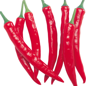 Red chili pepper PNG image