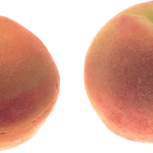 Peach PNG image