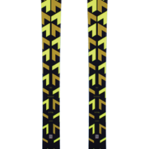 Ski PNG