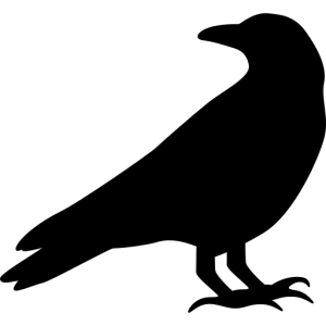 Raven PNG