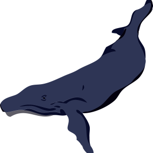 Sperm whale PNG