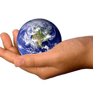 Earth in hands, PNG, hand image free
