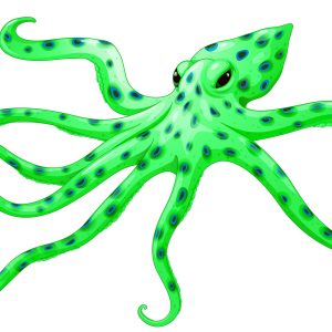 Octopus PNG
