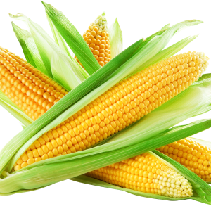 Corn PNG