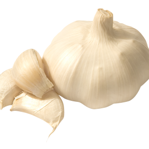 Garlic PNG