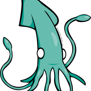 Squid PNG