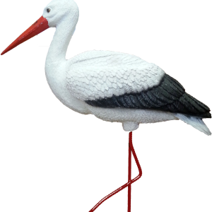 Stork PNG