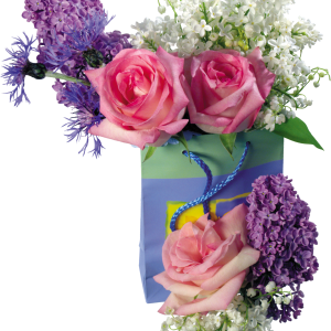 Lilac PNG