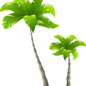 Palm tree PNG