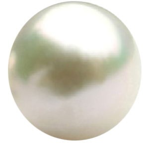 Pearl PNG