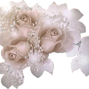 Wedding PNG