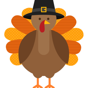 Turkey bird PNG