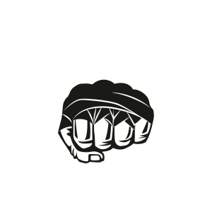 Mixed martial arts PNG, MMA PNG