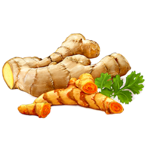 Ginger PNG