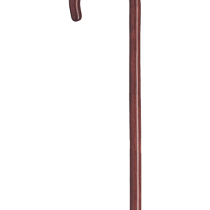 Walking stick PNG