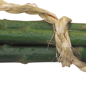 Asparagus PNG
