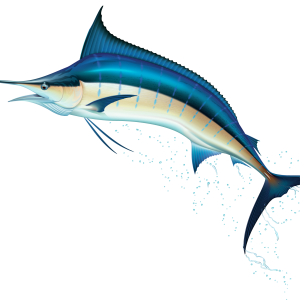 Swordfish PNG