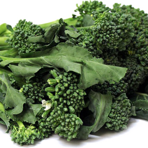 Broccoli PNG
