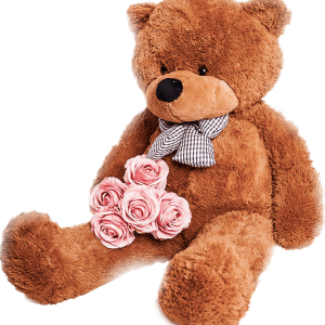 Teddy bear PNG
