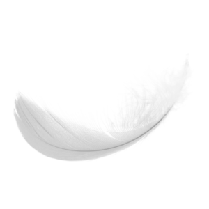 Feather PNG