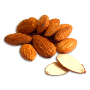 Almond PNG