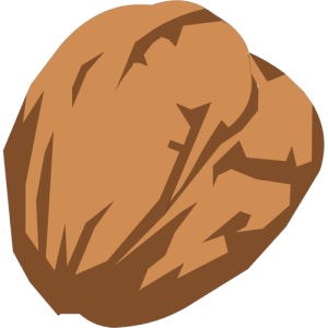 Walnut PNG