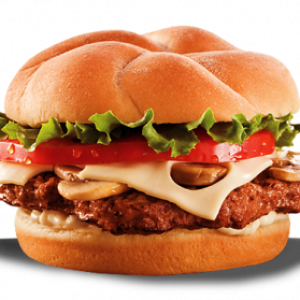 hamburger, burger PNG image