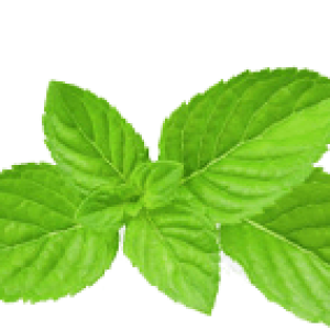 Pepermint PNG