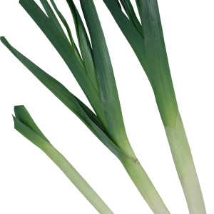 Leek PNG
